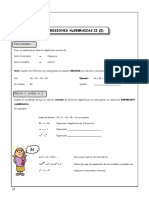 Expresiones Algebraicas II (Z)