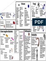 Fungi Gram Positive Bacteria Viruses: Non-Tuberculous Mycobacteria