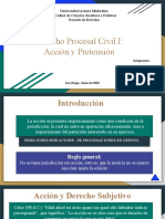 Derecho Procesal Civil I: Acción y Pretensión