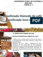 Beneficiado Humedo y Seco de Cafe