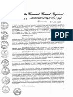 7762781 Directiva n 004-2017 Gobierno Regional Hvca