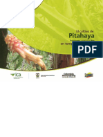 cartilla-pitahaya-ICA.pdf