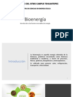Bioenergía 1.3