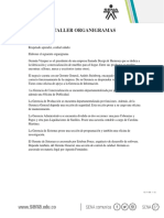 Elaboración Organigrama PDF