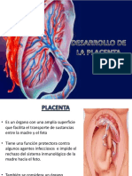 Desarrollo de La Placenta Obstetricia