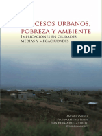 vieyra-mc3a9ndez-y-hernc3a1ndez-procesos-urbanos-pobreza-y-ambiente-implicaciones-en-ciudades-medias-y-megaciudades.pdf