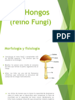 Exposicion Hongos y Levaduras