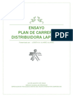 Ensayo Plan Carrera