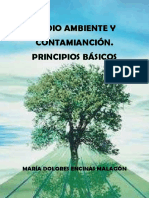Medio Ambiente y Contaminación. Principios básicos.pdf