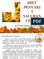 Diet Penyaki T Saluran Cerna