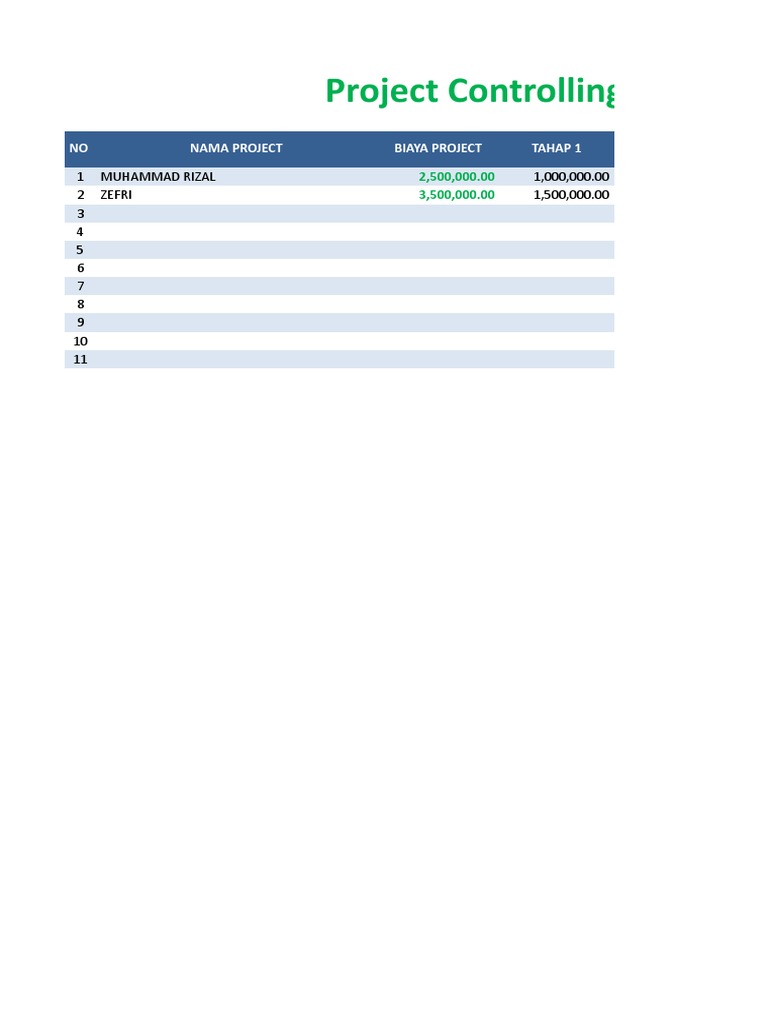 Project Controlling Form Overview | PDF
