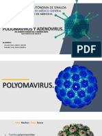 Poliomavirus y adenovirus en la Universidad Autónoma de Sinaloa