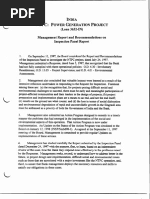 Management Report