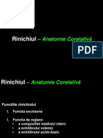 Curs 1. Anatomia Renala Oct 2018