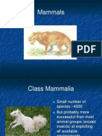 319 Mammals