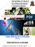 Semana 6 Teoria Sintetica de La Evolucion