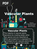 Vascular Plants: Group 5: Jessa Mae Mirador Kyla Mansarate Dianne Fraginal