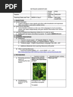 Objectives: Observe The Picture. What Is The Importance of Tree? Think and Tell