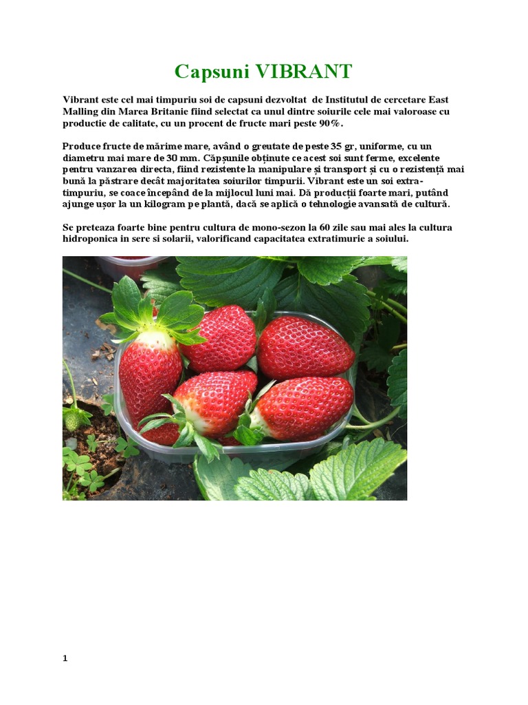Capsuni | PDF