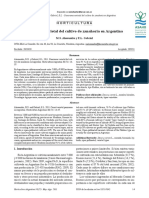 1-Buenocarrot Varietal Panorama in Argentina PDF