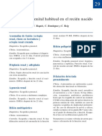 Urogenital PDF