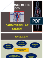 Maintenance of The Body: Cardiovascular System
