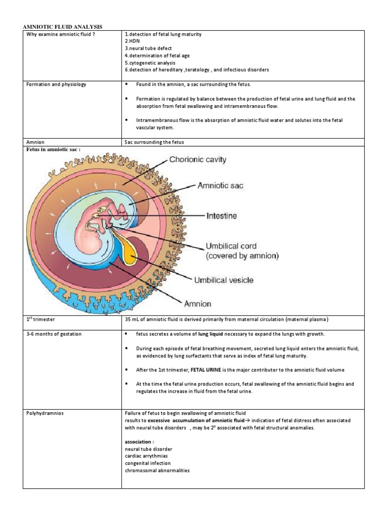 Amniotic Fluid Analysis Guide | PDF | Fetus | Maternal Health