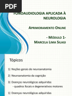 AULA NEUROANATOMIA E DOENÇAS NEUROLÓGICAS ADQUIRIDAS