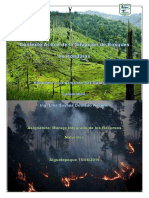Contexto Actual de La Situacion de Bosques en Honduras L P
