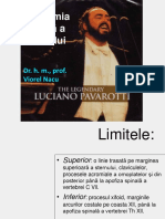 Liniile CONVENTIONALE DE ORIENTARE.pdf