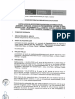 Tdr Servicio Especializado en La Formulacion Del Expediente Tecnico de Atencion de Puntos Criticos Adicional de Obra Rehabilitacion y Mejoramiento de La Carretera Tocache 1