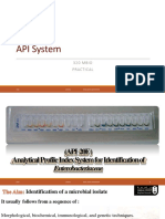 API System: 320 MBIO Practical