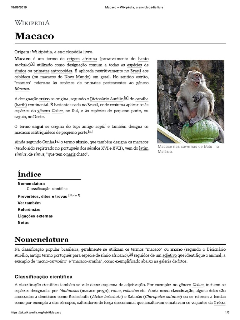 Macaco-prego – Wikipédia, a enciclopédia livre