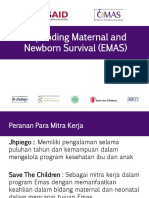 EMAS overview PIT HOGSI_ed.pdf