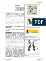 19Cromosomas.pdf