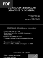 Apresentação nemato 