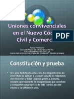 UNIONES CONVIVENCIALES