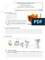 Transmissão de vida - Reprodução das plantas