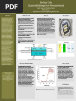 BioSolar Cells