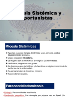 Micosis sistémicas y oportunistas: causas, cuadros clínicos y diagnóstico