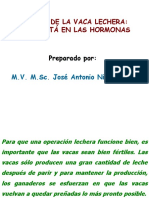 CELO Y HORMONAS.pptx