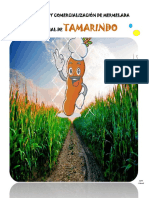 Estudio de mercado para la elaboración y comercialización de mermelada artesanal de tamarindo