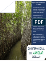 Informacion Manglar.pdf