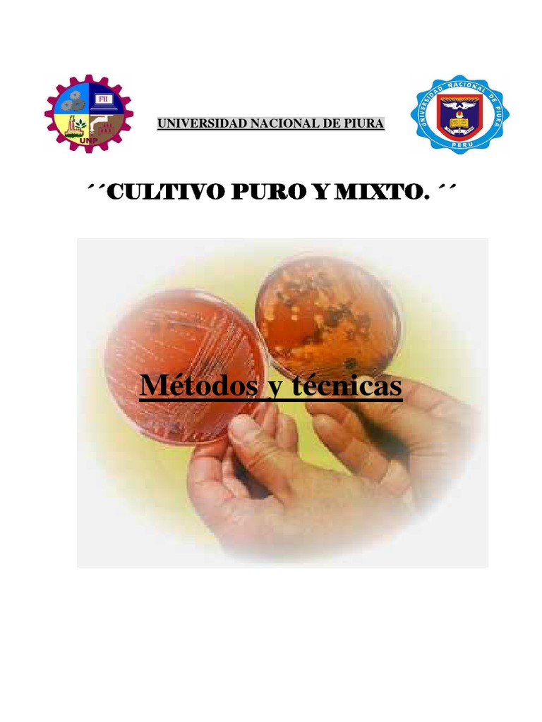 Importancia de Un Cultivo Puro Las bacterias