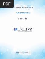 1552968171-Fisio Neuro Sinapse