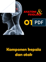 01.Anatomi Fisiologi Ssp