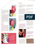 Maqueta del cerebro (1).pdf