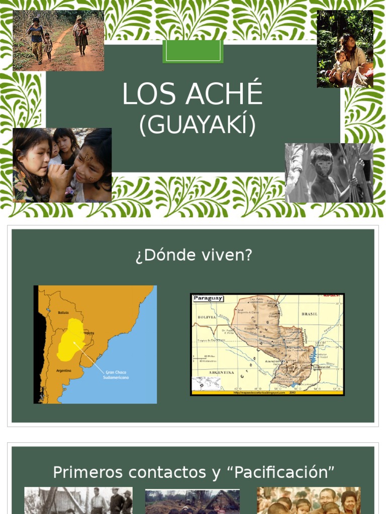 Los Aché Guayakí | PDF