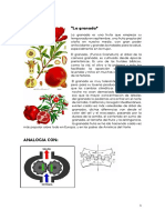 Condominio Memoria Descriptiva