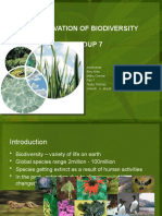 Conservation of Biodiversity